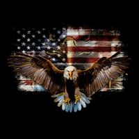 Bald Eagle 4th Of July American Usa Flag Eagle Patriotic Cooling Performance Long Sleeve Crew