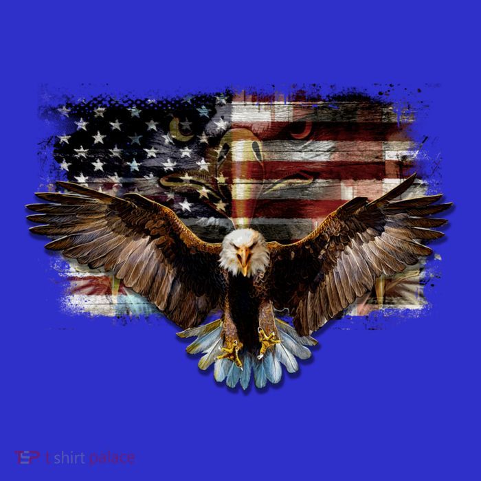 Bald Eagle 4th Of July American Usa Flag Eagle Patriotic 16 in Basic Backpack