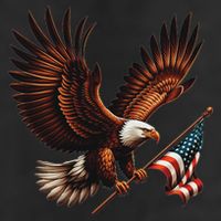 Bald Eagle American Flag 4th Of July Patriotic Man Woman 7 Panel Mesh Trucker Snapback Hat