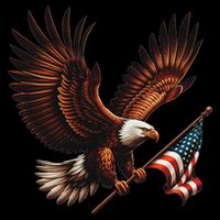 Bald Eagle American Flag 4th Of July Patriotic Man Woman Cooling Performance Long Sleeve Crew