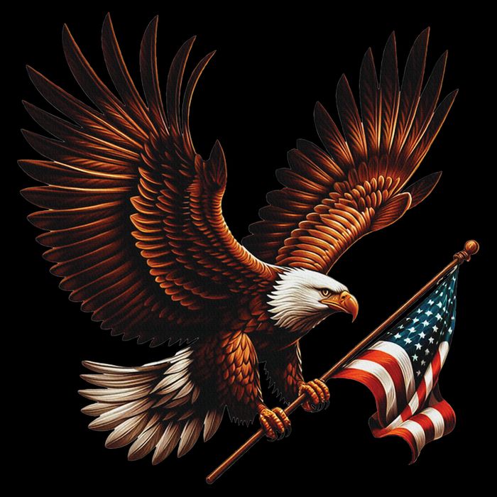 Bald Eagle American Flag 4th Of July Patriotic Man Woman Cooling Performance Long Sleeve Crew