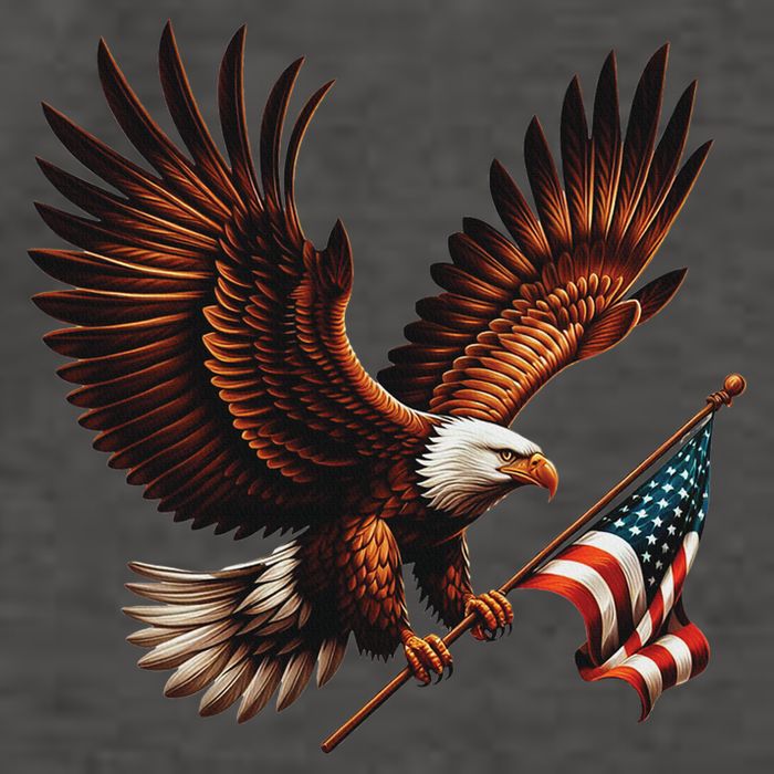 Bald Eagle American Flag 4th Of July Patriotic Man Woman Vector Backpack