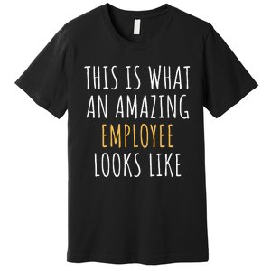 Best Employee Appreciation Thank You End Of Year Christmas Premium T-Shirt