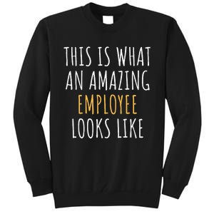 Best Employee Appreciation Thank You End Of Year Christmas Tall Sweatshirt