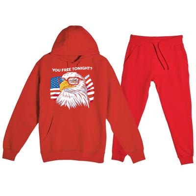 Bald Eagle American Flag You Free Tonight Gift Premium Hooded Sweatsuit Set