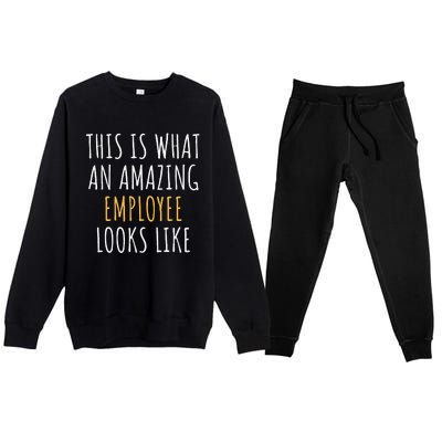 Best Employee Appreciation Thank You End Of Year Christmas Premium Crewneck Sweatsuit Set