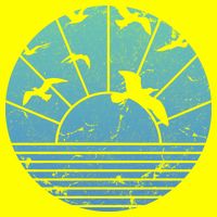 Beach Sunset Seagulls  T-Shirt