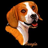 Beagle Dog Signature Portrait Stripe Pom Pom Beanie