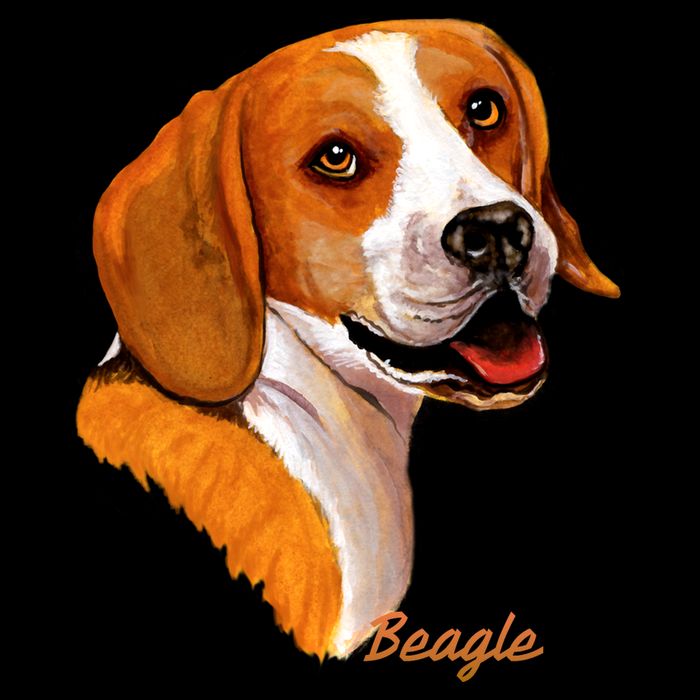 Beagle Dog Signature Portrait Bucket Hat