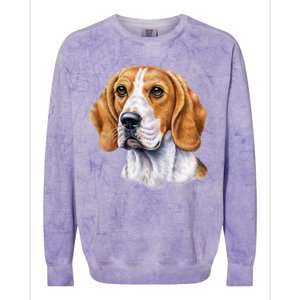 Beagle Face Colorblast Crewneck Sweatshirt