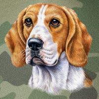 Beagle Face Legacy Tie Dye Trucker Hat