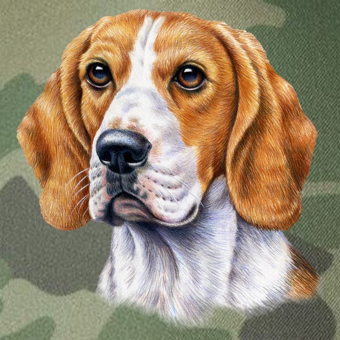 Beagle Face Legacy Tie Dye Trucker Hat