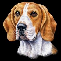 Beagle Face Backpack