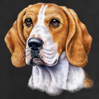 Beagle Face 15oz Campfire Ceramic Mug