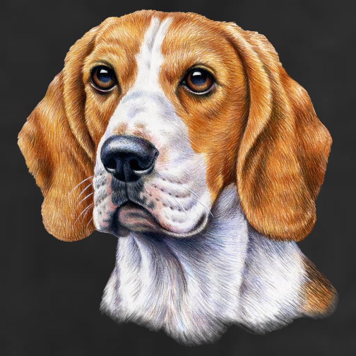 Beagle Face 15oz Campfire Ceramic Mug