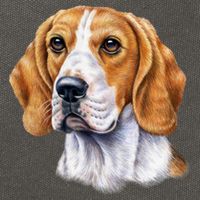 Beagle Face Cotton Canvas Backpack