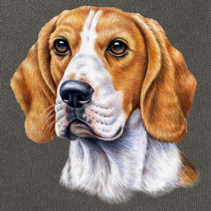 Beagle Face Cotton Canvas Backpack