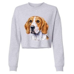 Beagle Face Cropped Pullover Crew