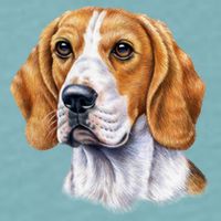 Beagle Face Sueded Cloud Jersey T-Shirt