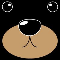Bear Costume Face Bag