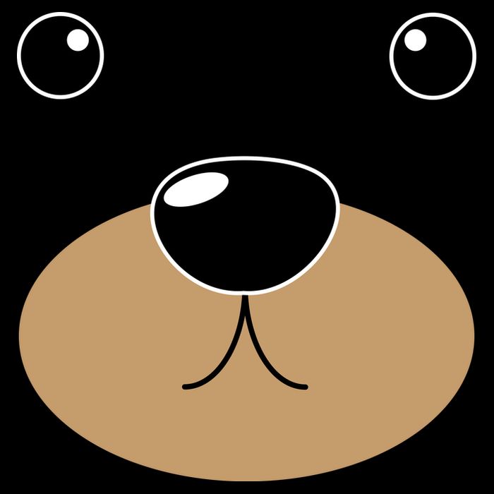 Bear Costume Face Bag