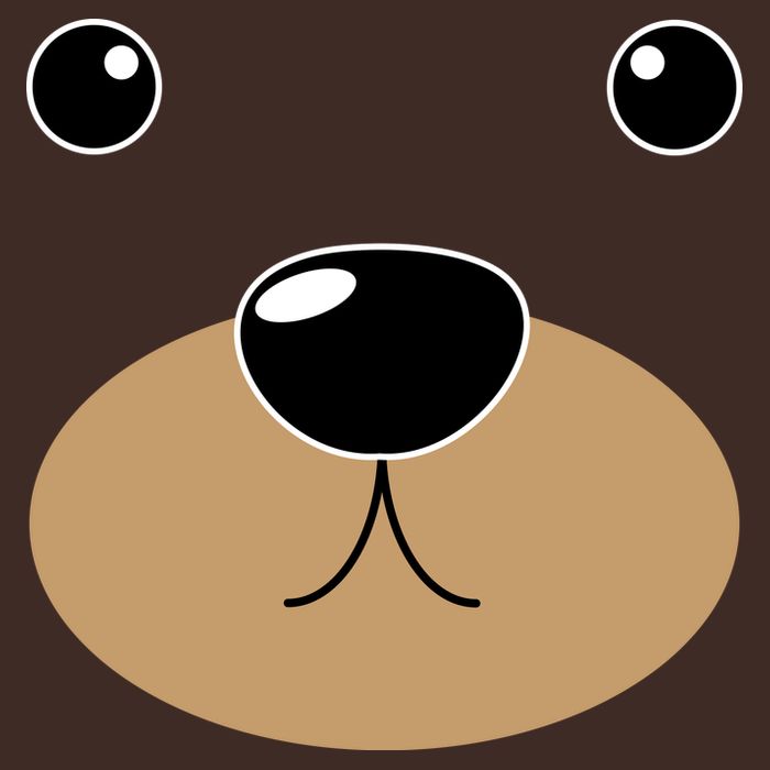 Bear Costume Face Poster
