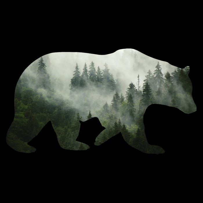 Bear Misty Forest Wilderness Baby Bodysuit