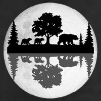 Bear Moon Wilderness 7 Panel Mesh Trucker Snapback Hat