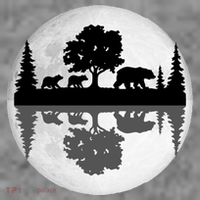 Bear Moon Wilderness T-Shirt