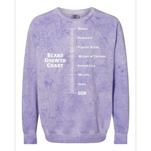 Beard Growth Ruler Funny Man To God Chart Colorblast Crewneck Sweatshirt