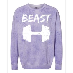 Beast Gym Logo Colorblast Crewneck Sweatshirt