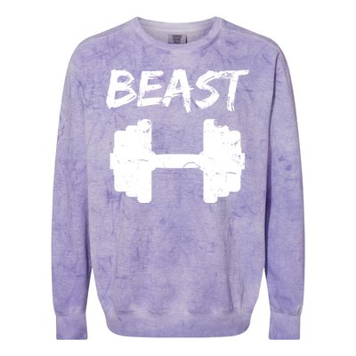 Beast Gym Logo Colorblast Crewneck Sweatshirt