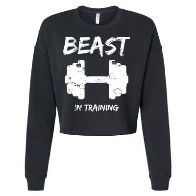 Beast In Training  Cropped Pullover Crew
