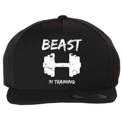 Beast In Training  Wool Snapback Cap