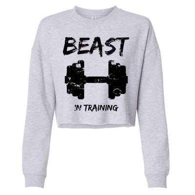 Beast In Training  Cropped Pullover Crew