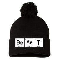 Beast Table of Elements Pom Pom 12in Knit Beanie