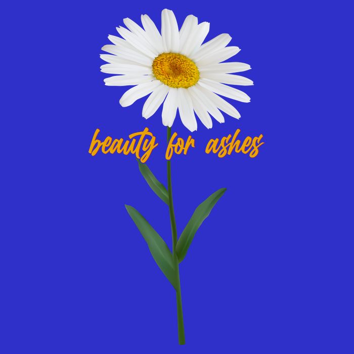 Beauty To Ashes Daisy Flower Toddler T-Shirt