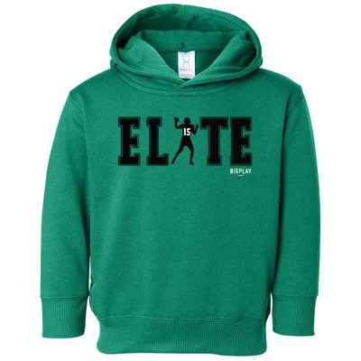 Bigplay Elite Toddler Hoodie