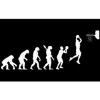 Basketball Evolution Basketball Player Coach Hoop Bumper Sticker