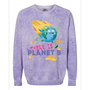 Burning Earth Cute Gift There Is No Planet B Great Gift Colorblast Crewneck Sweatshirt