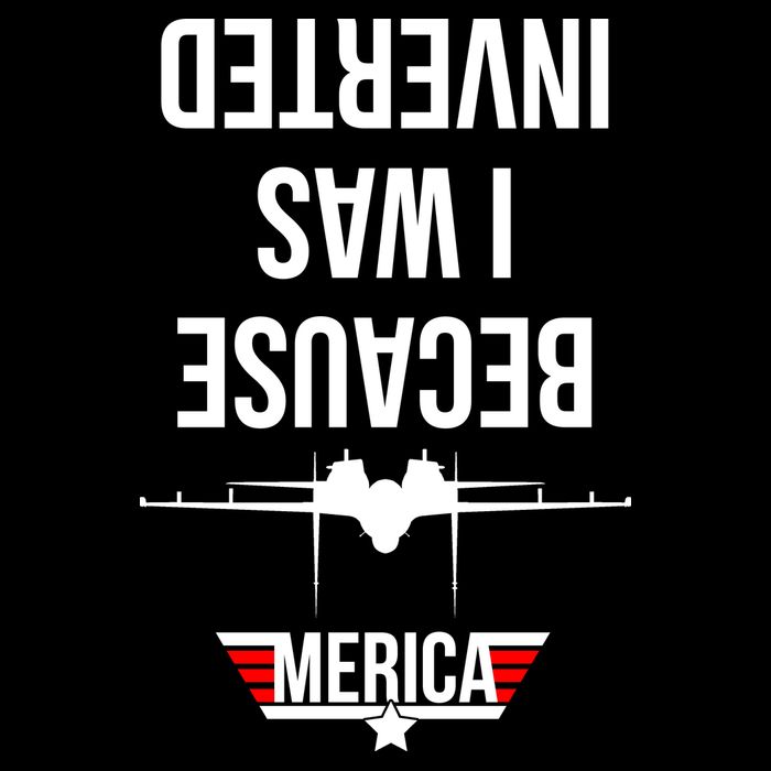 Because I Was Inverted Jet Fighter Cropped Pullover Crew