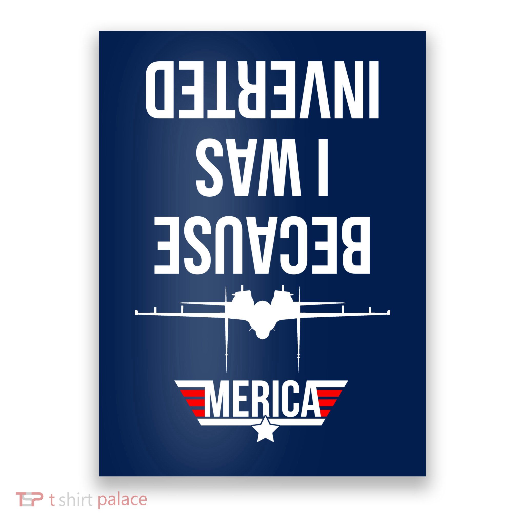 Because I Was Inverted Jet Fighter Poster