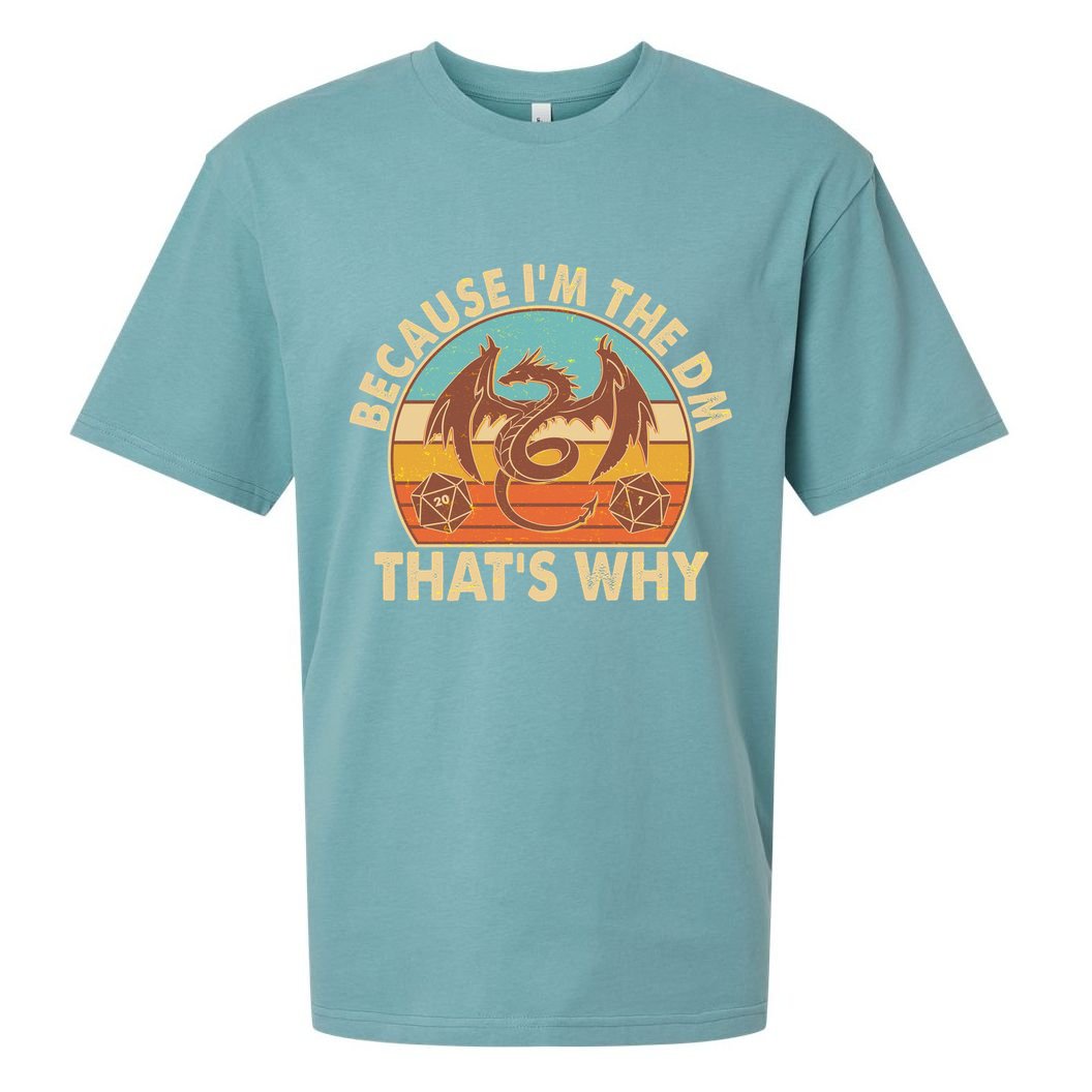 Because I'm the DM That's Why Vintage Sueded Cloud Jersey T-Shirt