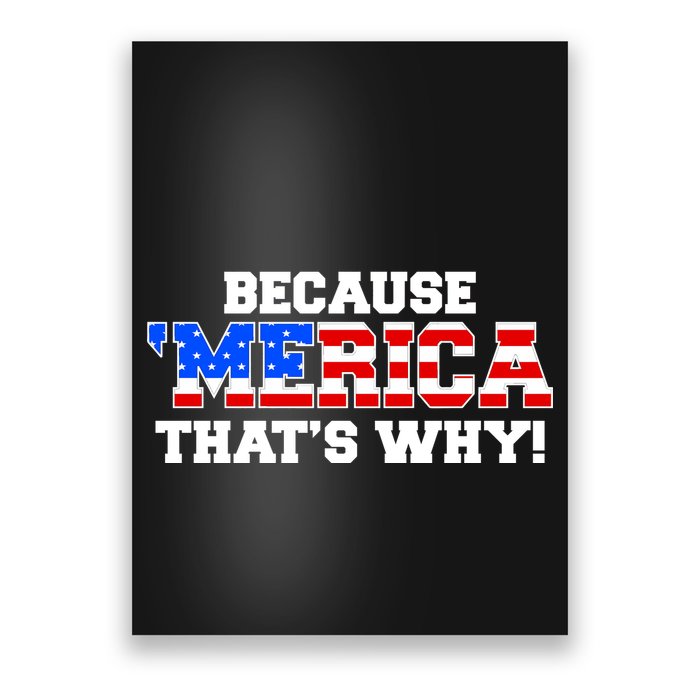 Because Merica Thats Why Poster