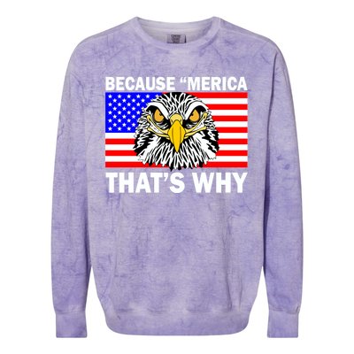 Because 'Merica That's Why! Eagle Colorblast Crewneck Sweatshirt