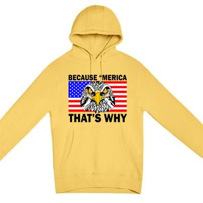 Because 'Merica That's Why! Eagle Premium Pullover Hoodie