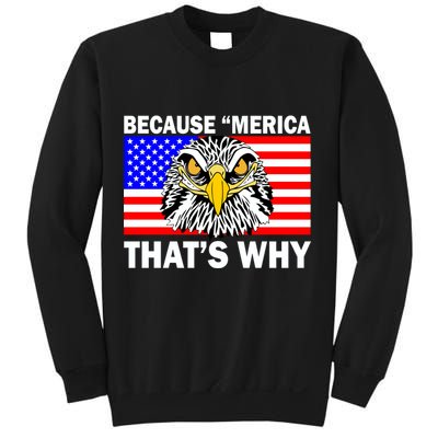 Because 'Merica That's Why! Eagle Sweatshirt