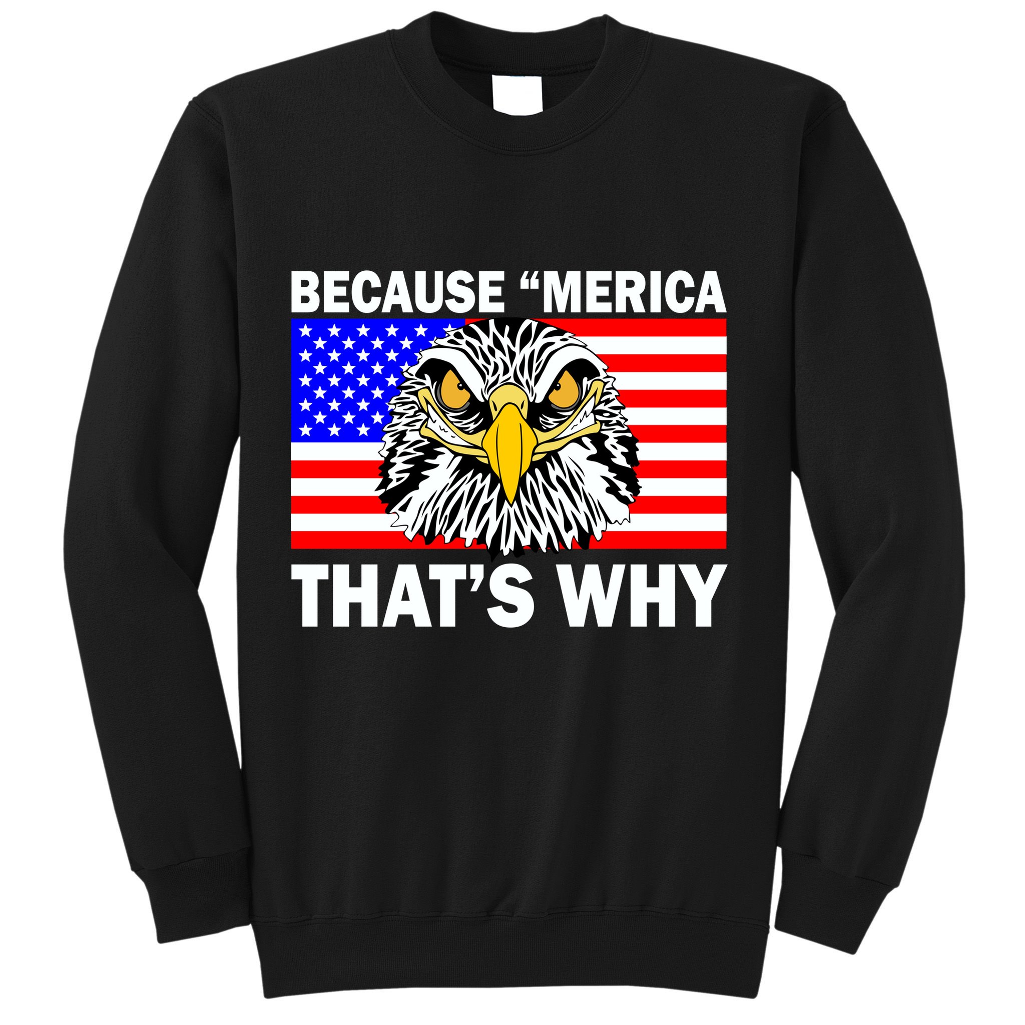 Because 'Merica That's Why! Eagle Sweatshirt