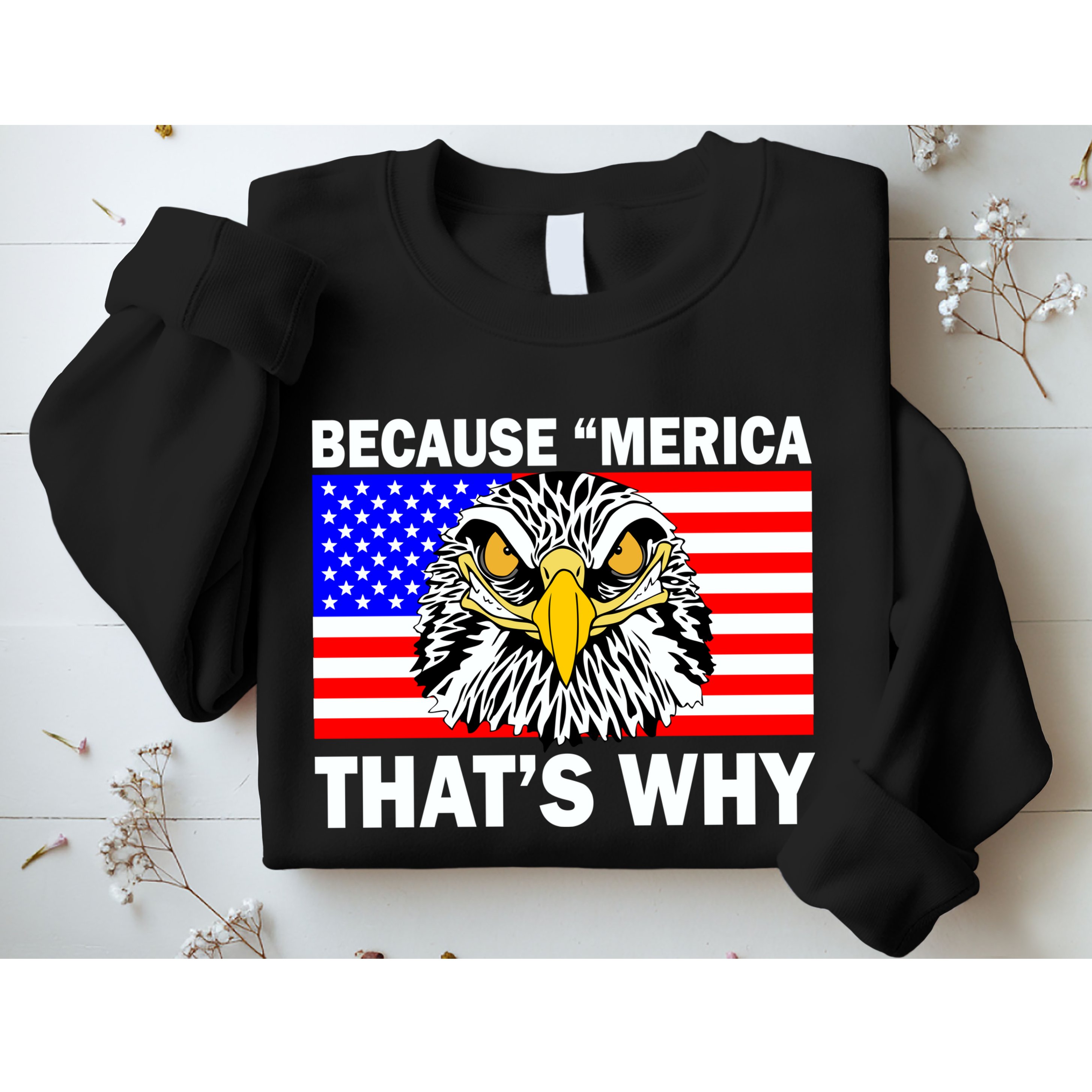 Because 'Merica That's Why! Eagle Sweatshirt