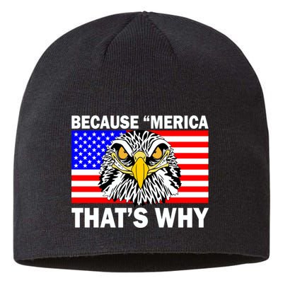 Because 'Merica That's Why! Eagle Sustainable Beanie